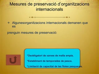 Mesures de preservació d’organitzacions
             internacionals

 Algunesorganitzacions internacionals demanen que
  es
prenguin mesures de preservació:




            *Úsobligatori de xarxes de malla ampla.

            *Establiment de temporades de pesca.

            *Limitació de capacitat de les flotes pesqueres.
 