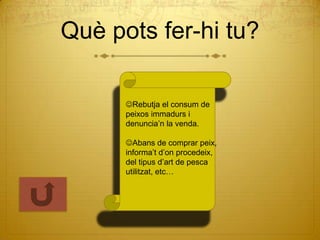 Què pots fer-hi tu?

      Rebutja el consum de
      peixos immadurs i
      denuncia’n la venda.

      Abans de comprar peix,
      informa’t d’on procedeix,
      del tipus d’art de pesca
      utilitzat, etc…
 