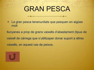 GRAN PESCA
 La gran pesca tenenunitats que pesquen en aigües
  molt

llunyanes a prop de grans vaixells d’abastament (tipus de

vaixell de càrrega que s’utilitzaper donar suport a altres

vaixells, en aquest cas de peixos.
 