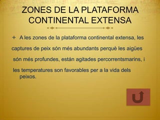 ZONES DE LA PLATAFORMA
     CONTINENTAL EXTENSA
 A les zones de la plataforma continental extensa, les

captures de peix són més abundants perquè les aigües

són més profundes, están agitades percorrentsmarins, i

les temperatures son favorables per a la vida dels
   peixos.
 