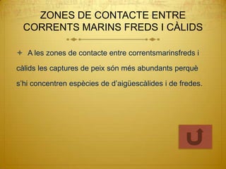 ZONES DE CONTACTE ENTRE
  CORRENTS MARINS FREDS I CÀLIDS

 A les zones de contacte entre correntsmarinsfreds i

càlids les captures de peix són més abundants perquè

s’hi concentren espècies de d’aigüescàlides i de fredes.
 
