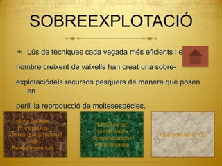 SOBREEXPLOTACIÓ
   Lús de tècniques cada vegada més eficients i el

  nombre creixent de vaixells han creat una sobre-

  explotaciódels recursos pesquers de manera que posen
     en

  perill la reproducció de moltesespècies.

   Molts vaixells…
                           Mesures de
   Pocs peixos…
                           preservació
Xarxes que arrasen la                        Què pots fer-hi tu?
                         d’organitzacions
       vida…
                          internacionals
 Peixos immadurs…
 