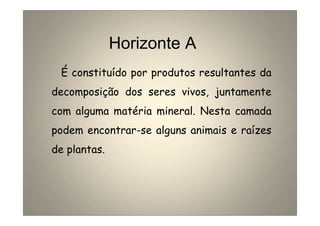 Horizonte A 
É constituído por produtos resultantes da 
decomposição dos seres vivos, juntamente 
com alguma matéria mineral. Nesta camada 
podem encontrar-se alguns animais e raízes 
de plantas. 
 