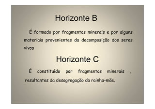 Horizonte B 
É formado por fragmentos minerais e por alguns 
materiais provenientes da decomposição dos seres 
vivos 
Horizonte C 
É constituído por fragmentos minerais , 
resultantes da desagregação da rainha-mãe. 
 