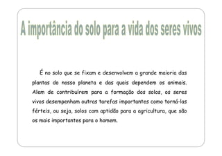 É no solo que se fixam e desenvolvem a grande maioria das 
plantas do nosso planeta e das quais dependem os animais. 
Alem de contribuírem para a formação dos solos, os seres 
vivos desempenham outras tarefas importantes como torná-las 
férteis, ou seja, solos com aptidão para a agricultura, que são 
os mais importantes para o homem. 
 