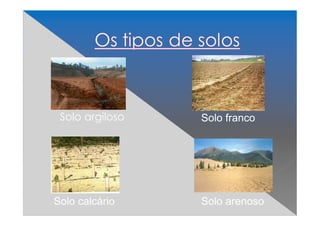 Solo argiloso Solo franco 
Solo calcário Solo arenoso 
 