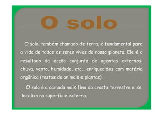 O solo, também chamado de terra, é fundamental para 
a vida de todos os seres vivos do nosso planeta. Ele é o 
resultado da acção conjunta de agentes externos: 
chuva, vento, humidade, etc., enriquecidos com matéria 
orgânica (restos de animais e plantas). 
O solo é a camada mais fina da crosta terrestre e se 
localiza na superfície externa. 
 