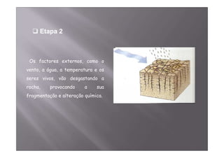 Etapa 2 
Os factores externos, como o 
vento, a água, a temperatura e os 
seres vivos, vão desgastando a 
rocha, provocando a sua 
fragmentação e alteração química. 
 