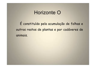 Horizonte O 
É constituído pela acumulação de folhas e 
outros restos de plantas e por cadáveres de 
animais. 
 
