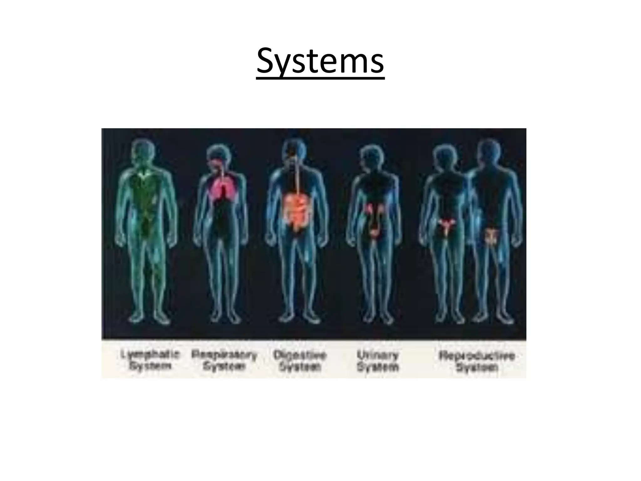 Systems
