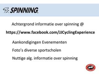 spinfin reviews