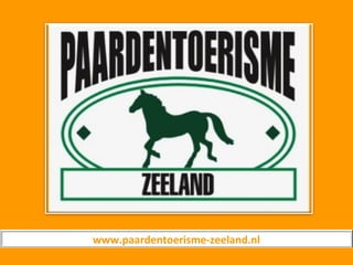www.paardentoerisme-zeeland.nl
 