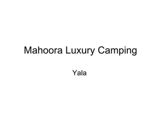 Mahoora Luxury Camping Yala  