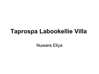 Taprospa Labookellie Villa  Nuwara Eliya 