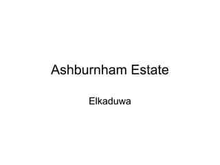 Ashburnham Estate

     Elkaduwa
 