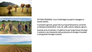 SETTORE PRIMARIO: circa il 4,6% degli occupati è impiegato in
questo settore.
Il comparto agricolo, grazie alla sua industrializzazione, consente
un’elevata produttività di: mais, tè, caffè, cotone, tabacco, agrumi..
Essendo privo di petrolio, il Sudafrica ha per lungo tempo sfruttato
il carbone e sta investendo nella produzione di energie rinnovabili
e sviluppando l’energia nucleare.
 