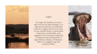 Laghi
Tra i laghi del Sudafrica vi sono il
lago Chrissie nel Mpumalanga. È un
lago poco profondo, la profondità
massima si aggira intorno ai 6 metri.
Le sue caratteristiche, in particolare
estensione e profondità, sono
soggette a forti variazioni stagionali
in relazione alle precipitazioni. Il
lago Sibhayi o Sibaya, nel Kwazulu-
Natal è il maggiore lago del
Sudafrica 64km.
 