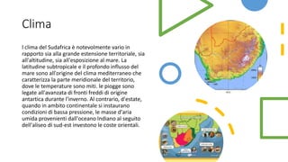 Clima
l clima del Sudafrica è notevolmente vario in
rapporto sia alla grande estensione territoriale, sia
all'altitudine, sia all'esposizione al mare. La
latitudine subtropicale e il profondo influsso del
mare sono all'origine del clima mediterraneo che
caratterizza la parte meridionale del territorio,
dove le temperature sono miti. le piogge sono
legate all'avanzata di fronti freddi di origine
antartica durante l'inverno. Al contrario, d'estate,
quando in ambito continentale si instaurano
condizioni di bassa pressione, le masse d'aria
umida provenienti dall'oceano Indiano al seguito
dell'aliseo di sud-est investono le coste orientali.
 