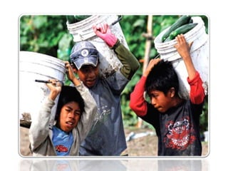 Power point sujeto 2015