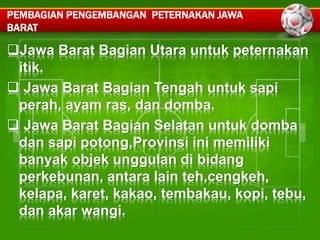PEMBAGIAN PENGEMBANGAN PETERNAKAN JAWA 
BARAT 
Jawa Barat Bagian Utara untuk peternakan 
itik. 
 Jawa Barat Bagian Tengah untuk sapi 
perah, ayam ras, dan domba. 
 Jawa Barat Bagian Selatan untuk domba 
dan sapi potong,Provinsi ini memiliki 
banyak objek unggulan di bidang 
perkebunan, antara lain teh,cengkeh, 
kelapa, karet, kakao, tembakau, kopi, tebu, 
dan akar wangi. 
 