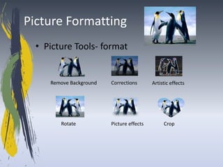 Picture Formatting
  • Picture Tools- format


     Remove Background   Corrections       Artistic effects




        Rotate           Picture effects        Crop
 