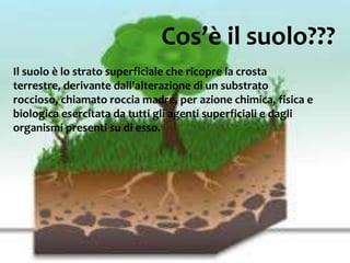 Cos’è il suolo???
Il suolo è lo strato superficiale che ricopre la crosta
terrestre, derivante dall'alterazione di un substrato
roccioso, chiamato roccia madre, per azione chimica, fisica e
biologica esercitata da tutti gli agenti superficiali e dagli
organismi presenti su di esso.
 