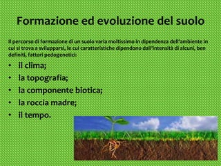 Formazione ed evoluzione del suolo
Il percorso di formazione di un suolo varia moltissimo in dipendenza dell'ambiente in
cui si trova a svilupparsi, le cui caratteristiche dipendono dall'intensità di alcuni, ben
definiti, fattori pedogenetici:

•   il clima;
•   la topografia;
•   la componente biotica;
•   la roccia madre;
•   il tempo.
 