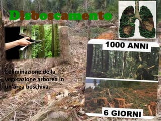 Disboscamento



L’eliminazione della
vegetazione arborea in
un'area boschiva.
 