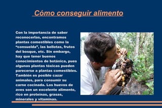 Cómo conseguir alimento 
Con la importancia de saber 
reconocerlas, encontramos 
plantas comestibles como la 
“consuelda”, las bellotas, frutos 
del bosque, etc. Sin embargo, 
hay que tener buenos 
conocimientos de botánica, pues 
algunas plantas tóxicas pueden 
parecerse a plantas comestibles. 
También es posible cazar 
animales, para consumir su 
carne cocinada. Los huevos de 
aves son un excelente alimento, 
rico en proteínas, grasas, 
minerales y vitaminas. 
 