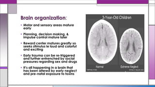  Motor and sensory areas mature
early
 Planning, decision making, &
impulse control mature later
 Reward center matures greatly so
seeks stimulus ie loud and colorful
and exciting
 Early trauma can be re-triggered
and further entrenched by social
pressures regarding sex and drugs
 It’s all happening in a brain that
has been altered by early neglect
and pre-natal exposure to toxins
Brain organization:
 