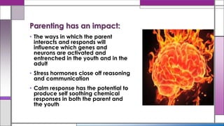• The ways in which the parent
interacts and responds will
influence which genes and
neurons are activated and
entrenched in the youth and in the
adult
• Stress hormones close off reasoning
and communication
• Calm response has the potential to
produce self soothing chemical
responses in both the parent and
the youth
Parenting has an impact:
 