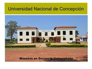 Universidad Nacional de Concepción
Maestría en Docencia UniversitariaMaestría en Docencia Universitaria
 
