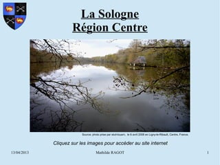 La Sologne
                     Région Centre




                          Source: photo prise par skol-louarn, le 6 avril 2008 en Ligny-le-Ribault, Centre, France.


             Cliquez sur les images pour accéder au site internet
13/04/2013                           Mathilde RAGOT                                                                   1
 