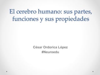 El cerebro humano: sus partes,
funciones y sus propiedades
César Ordorica López
#Neuroedu
 