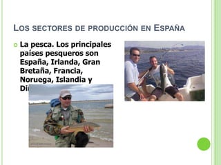 LOS SECTORES DE PRODUCCIÓN EN ESPAÑA
   La pesca. Los principales
    países pesqueros son
    España, Irlanda, Gran
    Bretaña, Francia,
    Noruega, Islandia y
    Dinamarca.
 