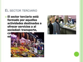 EL SECTOR TERCIARIO
   El sector terciario está
    formado por aquellas
    actividades destinadas a
    ofrecer servicios a al
    sociedad: transporte,
    comercio, turismo,
    educación, sanidad, etc.
 