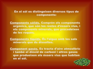 En el sòl es distingeixen diversos tipus de
                  components:

Components sòlids. Comprèn els components
  orgànics, que són les restes d'éssers vius, i
  els components minerals, que procedeixen
  de les roques.

Components líquids. És l'aigua amb les sals
  minerals que du dissoltes.

Component gasós. Es tracta d'aire atmosfèric
  i també el diòxid de carboni i altres gasos
  que produeixen els éssers vius que habiten
  en el sòl.
 