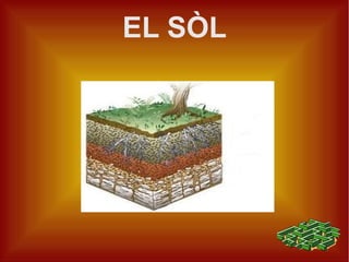 EL SÒL
 