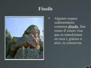Fòssils
    
          Algunes roques
          sedimentàries
          contenen fòssils. Són
          restes d' essers vius
          que es transformen
          en roca i, gràcies a
          això, es conserven.
 
