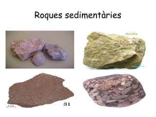 Roques sedimentàries
 