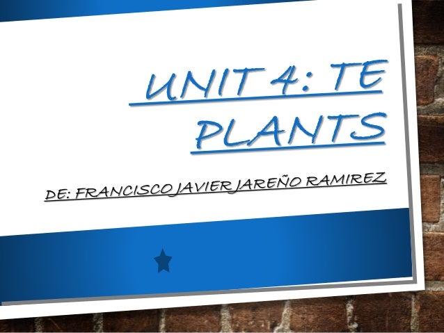 power point tema 4 naturales tema power point