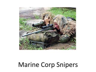 Marine Corp Snipers