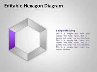 Editable Hexagon Diagram
Sample Heading
This is a sample text. Insert your
desired text here. Again, this is a
dummy text, enter your own text here.
This is a sample text. Insert your
desired text here. Again, this is a
dummy text, enter your own text here.
This is a sample text. Insert your
desired text here.
 