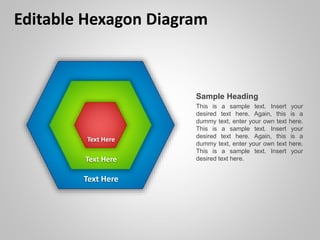 Editable Hexagon Diagram
Sample Heading
This is a sample text. Insert your
desired text here. Again, this is a
dummy text, enter your own text here.
This is a sample text. Insert your
desired text here. Again, this is a
dummy text, enter your own text here.
This is a sample text. Insert your
desired text here.
Text Here
Text Here
Text Here
 