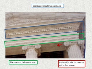 Cornisa denticular con cimacio
Platabandas del arquitrabe. Inclinación de las volutas
del orden jónico
 
