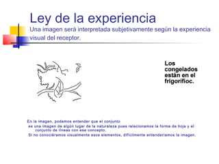 Ley de la experiencia
Una imagen será interpretada subjetivamente según la experiencia
visual del receptor.
En la imagen, podemos entender que el conjunto
es una imagen de algún lugar de la naturaleza pues relacionamos la forma de hoja y el
conjunto de líneas con ese concepto.
Si no conociéramos visualmente esos elementos, difícilmente entenderíamos la imagen.
 