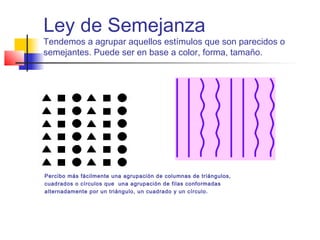 Ley de Semejanza
Tendemos a agrupar aquellos estímulos que son parecidos o
semejantes. Puede ser en base a color, forma, tamaño.
Percibo más fácilmente una agrupación de columnas de triángulos,
cuadrados o círculos que una agrupación de filas conformadas
alternadamente por un triángulo, un cuadrado y un círculo.
 