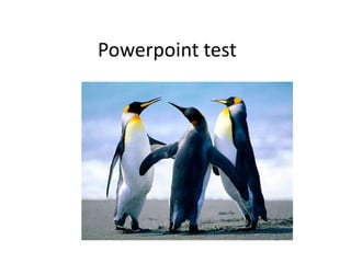Powerpoint test 
