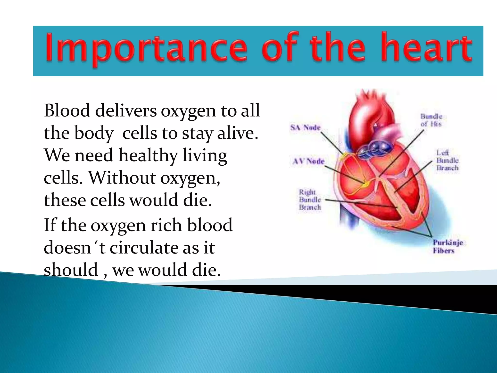 WHAT IS HEART PPT visual data 7