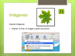 Imágenes
Insertar imágenes:
• Insertar  Foto  Imagen a partir de archivo
 